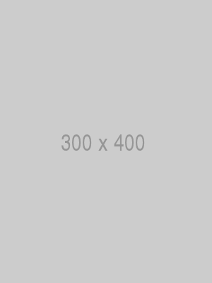 Znalezione obrazy dla zapytania 300 x 400